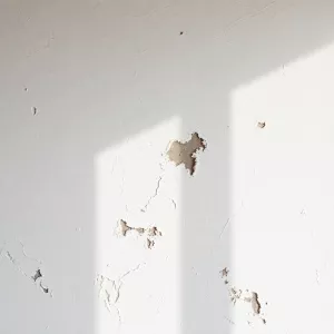 Tynkowanie Bez Gruntowania